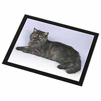 Exotic Smoke Cat Black Rim High Quality Glass Placemat