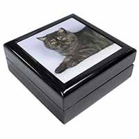 Exotic Smoke Cat Keepsake/Jewellery Box