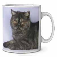 Exotic Smoke Cat Ceramic 10oz Coffee Mug/Tea Cup