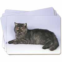 Exotic Smoke Cat Picture Placemats in Gift Box