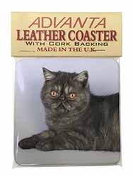 Exotic Smoke Cat Single Leather Photo Coaster