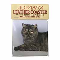 Exotic Smoke Cat Single Leather Photo Coaster