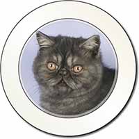 Exotic Smoke Cat Car or Van Permit Holder/Tax Disc Holder