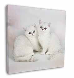 Exotic White Kittens Square Canvas 12"x12" Wall Art Picture Print