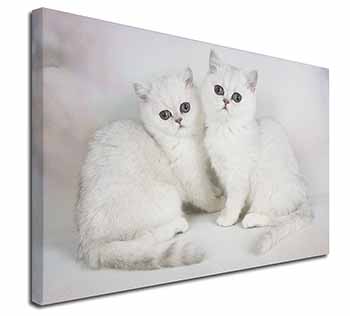 Exotic White Kittens Canvas X-Large 30"x20" Wall Art Print