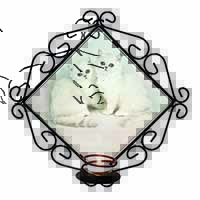Exotic White Kittens Wrought Iron Wall Art Candle Holder