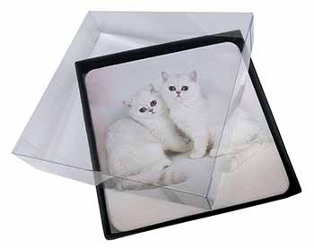 4x Exotic White Kittens Picture Table Coasters Set in Gift Box