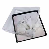 4x Exotic White Kittens Picture Table Coasters Set in Gift Box