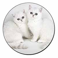 Exotic White Kittens Fridge Magnet Printed Full Colour