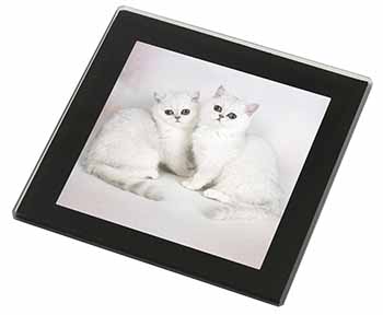 Exotic White Kittens Black Rim High Quality Glass Coaster