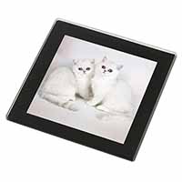 Exotic White Kittens Black Rim High Quality Glass Coaster