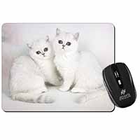 Exotic White Kittens Computer Mouse Mat