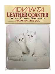 Exotic White Kittens Single Leather Photo Coaster