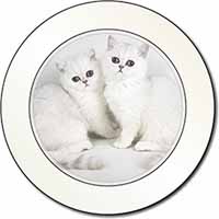 Exotic White Kittens Car or Van Permit Holder/Tax Disc Holder