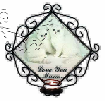 Exotic White Kittens 