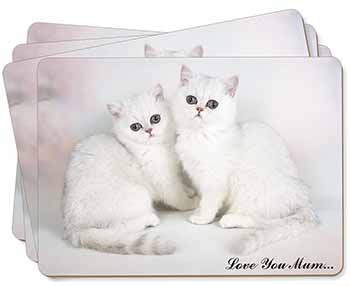 Exotic White Kittens 