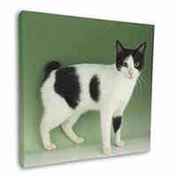 Japanese Bobtail Cat Square Canvas 12"x12" Wall Art Picture Print