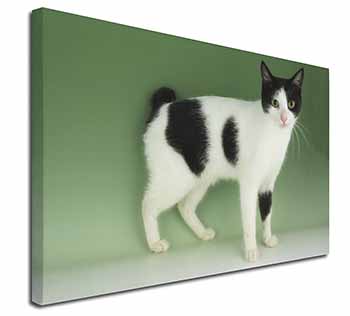 Japanese Bobtail Cat Canvas X-Large 30"x20" Wall Art Print