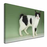 Japanese Bobtail Cat Canvas X-Large 30"x20" Wall Art Print