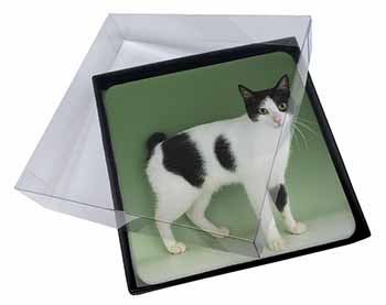 4x Japanese Bobtail Cat Picture Table Coasters Set in Gift Box