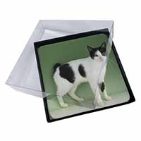 4x Japanese Bobtail Cat Picture Table Coasters Set in Gift Box