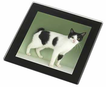 Japanese Bobtail Cat Black Rim High Quality Glass Coaster