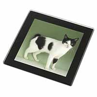 Japanese Bobtail Cat Black Rim High Quality Glass Coaster