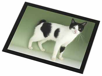 Japanese Bobtail Cat Black Rim High Quality Glass Placemat