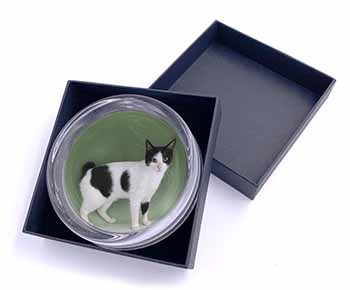 Japanese Bobtail Cat Glass Paperweight in Gift Box