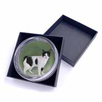Japanese Bobtail Cat Glass Paperweight in Gift Box
