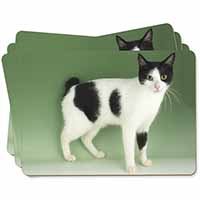 Japanese Bobtail Cat Picture Placemats in Gift Box