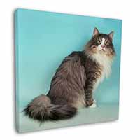 Norwegian Forest Cat Square Canvas 12"x12" Wall Art Picture Print