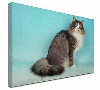 Norwegian Forest Cat Canvas X-Large 30"x20" Wall Art Print