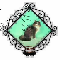 Norwegian Forest Cat Wrought Iron Wall Art Candle Holder