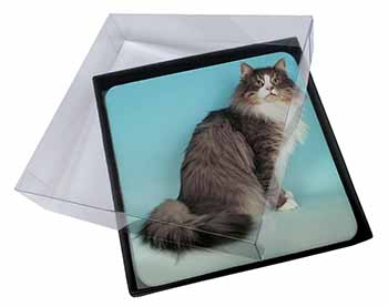 4x Norwegian Forest Cat Picture Table Coasters Set in Gift Box