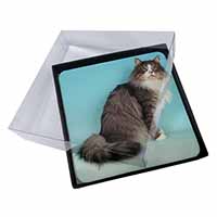 4x Norwegian Forest Cat Picture Table Coasters Set in Gift Box