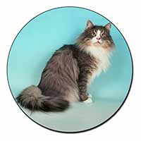 Norwegian Forest Cat Fridge Magnet Printed Full Colour