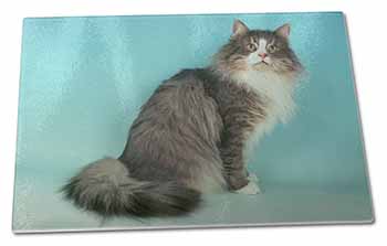 Large Glass Cutting Chopping Board Norwegian Forest Cat