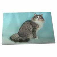 Large Glass Cutting Chopping Board Norwegian Forest Cat