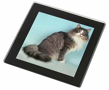 Norwegian Forest Cat Black Rim High Quality Glass Coaster