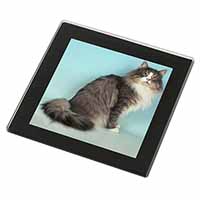 Norwegian Forest Cat Black Rim High Quality Glass Coaster