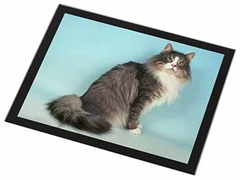 Norwegian Forest Cat Black Rim High Quality Glass Placemat