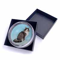 Norwegian Forest Cat Glass Paperweight in Gift Box