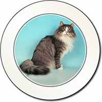 Norwegian Forest Cat Car or Van Permit Holder/Tax Disc Holder