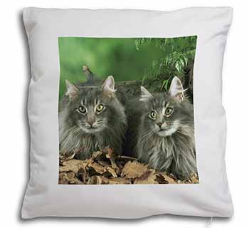 Blue Norwegian Forest Cats Soft White Velvet Feel Scatter Cushion