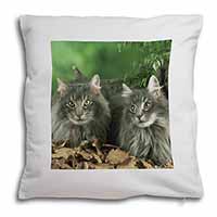 Blue Norwegian Forest Cats Soft White Velvet Feel Scatter Cushion