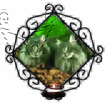 Blue Norwegian Forest Cats Wrought Iron Wall Art Candle Holder