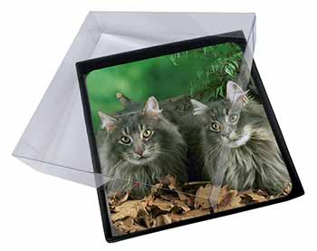 4x Blue Norwegian Forest Cats Picture Table Coasters Set in Gift Box