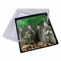 4x Blue Norwegian Forest Cats Picture Table Coasters Set in Gift Box