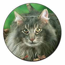 Blue Norwegian Forest Cats Fridge Magnet Printed Full Colour